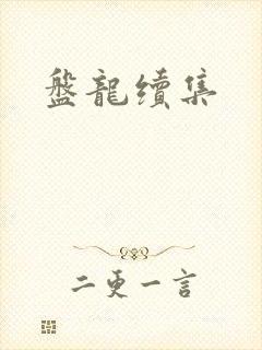 盘龙续集封面