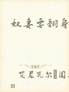 奴妻要翻身封面