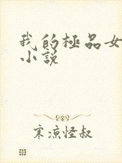 我的极品女老师小说