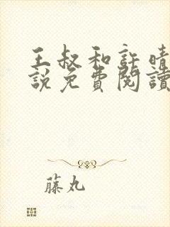 王叔和许晴的小说免费阅读无弹窗封面