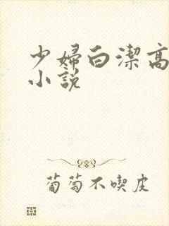 少妇白洁高义 小说