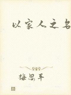 以家人之名小说