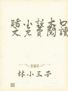 赌小说木口银全文免费阅读笔趣阁