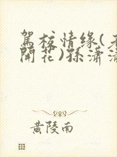 驾校情缘(老树开花)孙潇潇第一次趣笔阁