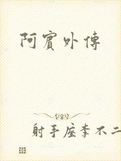 阿宾外传封面