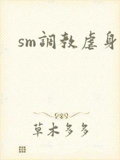 sm调教虐身文