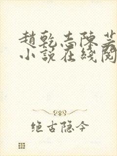 赵乾志陈芸穿越小说在线阅读封面