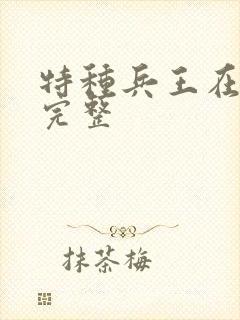 特种兵王在山村完整