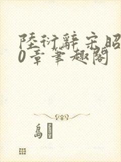 陆衍辞宋昭意20章笔趣阁