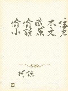 偷偷藏不住竹已小说原文免费阅读