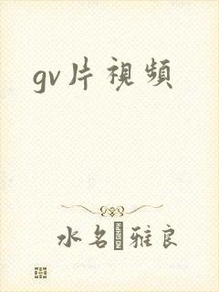 gv片视频
