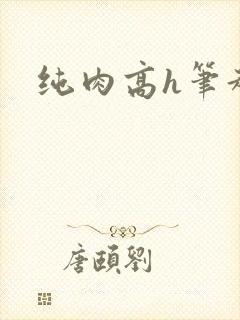 纯肉高h笔趣阁