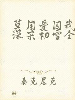 莫用爱囚我傅寒深宋初雪全文