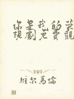 你是我的荣耀电视剧免费观看全集