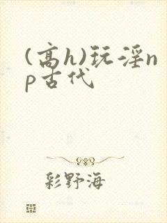 (高h)玩淫np古代