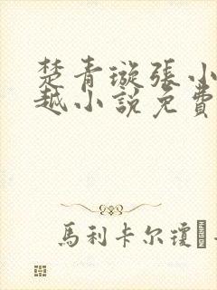 楚青璇张小凡穿越小说免费阅读