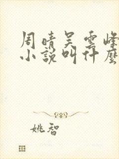 周晴吴云峰李磊小说叫什么名字