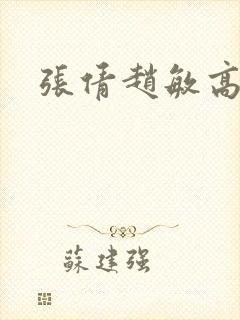 张倩赵敏高义封面