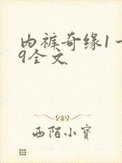 内裤奇缘1一39全文