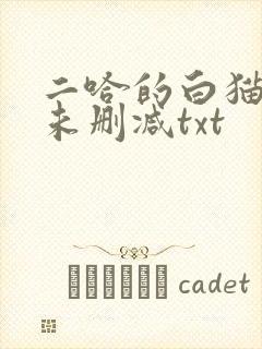 二哈的白猫师尊未删减txt