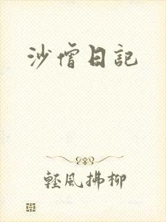沙僧日记封面