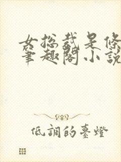 女总裁是条骚狗笔趣阁小说