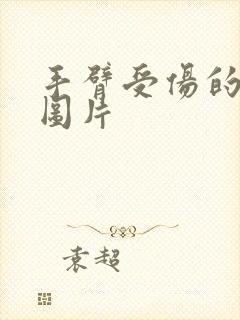 手臂受伤的真实图片