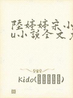 陆婷婷宋小易沈u小说全文免费阅读最新章节