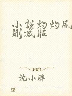 小说灼灼风流未删减版