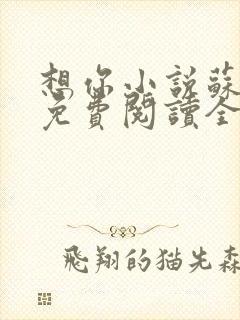 想你小说苏玛丽免费阅读全文无弹窗封面