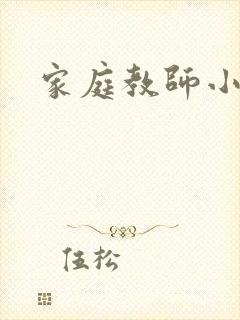 家庭教师小说封面