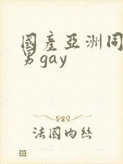 国产亚洲同性男男gay