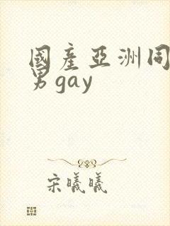 国产亚洲同性男男gay