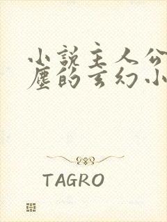 小说主人公叫叶尘的玄幻小说