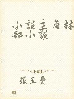 小说主角林凡全部小说