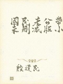 国民老公带回家未删减版小说封面