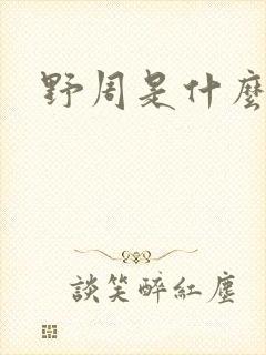 野周是什么意思封面