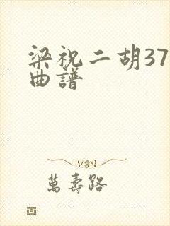 梁祝二胡37弦曲谱