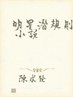 明星潜规则之皇 小说