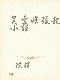 吴云峰张龙周晴小说封面