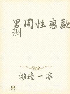 男同性恋欧美亚洲封面