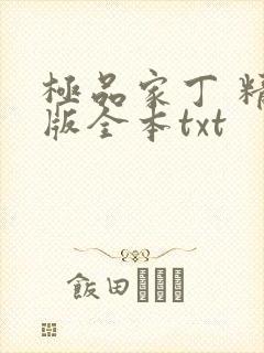 极品家丁 精校版全本txt