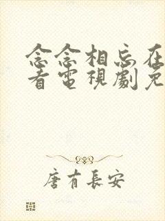 念念相忘在线观看电视剧免费高清