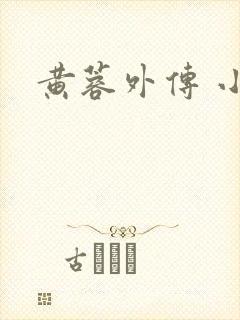 黄蓉外传 小说