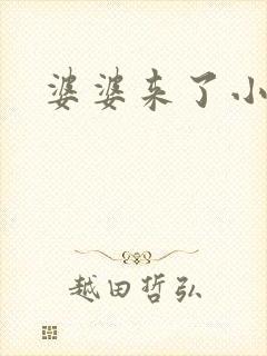 婆婆来了小说封面