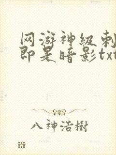 网游神级刺客我即是暗影txt