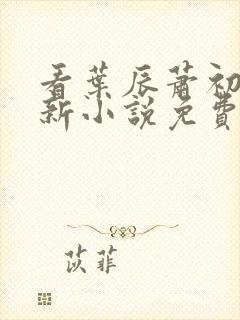 看叶辰萧初然更新小说免费全集