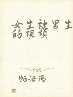 女生被男生操爽的视频