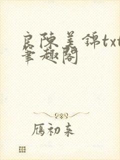 良陈美锦txt笔趣阁