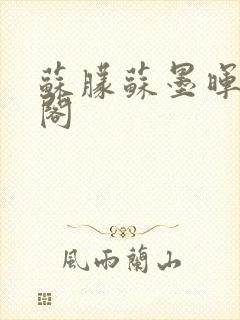 苏朦苏墨晖笔趣阁